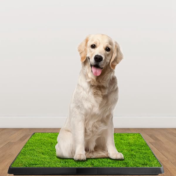 Indoor Outdoor Dog Potty with Artificial Turf Grass Mat 25x20 in D55568