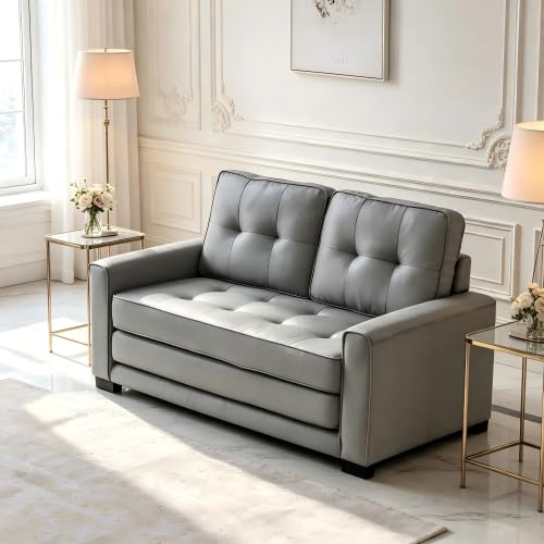 Convertible Futon Sofa Bed S208