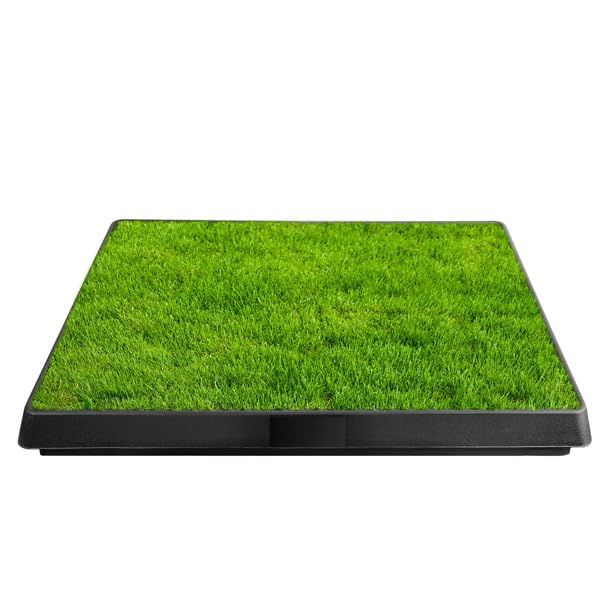 Indoor Outdoor Dog Potty with Artificial Turf Grass Mat 25x20 in D55568