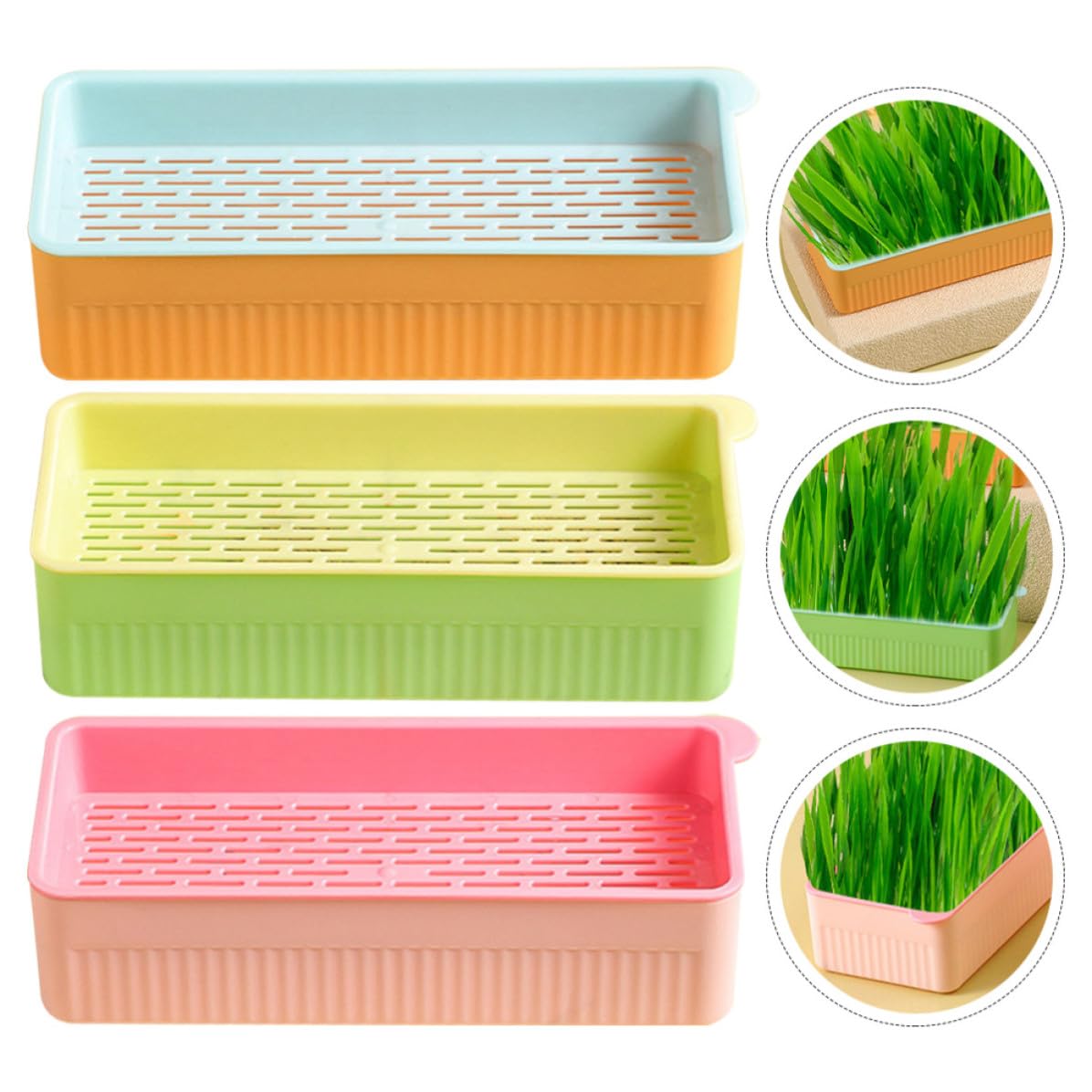 Cat Grass Planter Box Plastic 3 Pack M4986