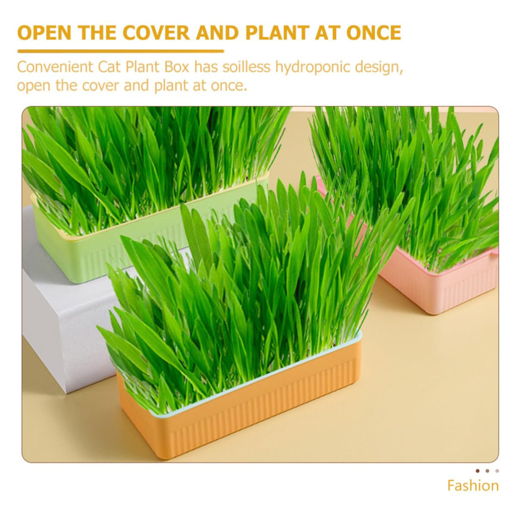 Cat Grass Planter Box Plastic 3 Pack M4986