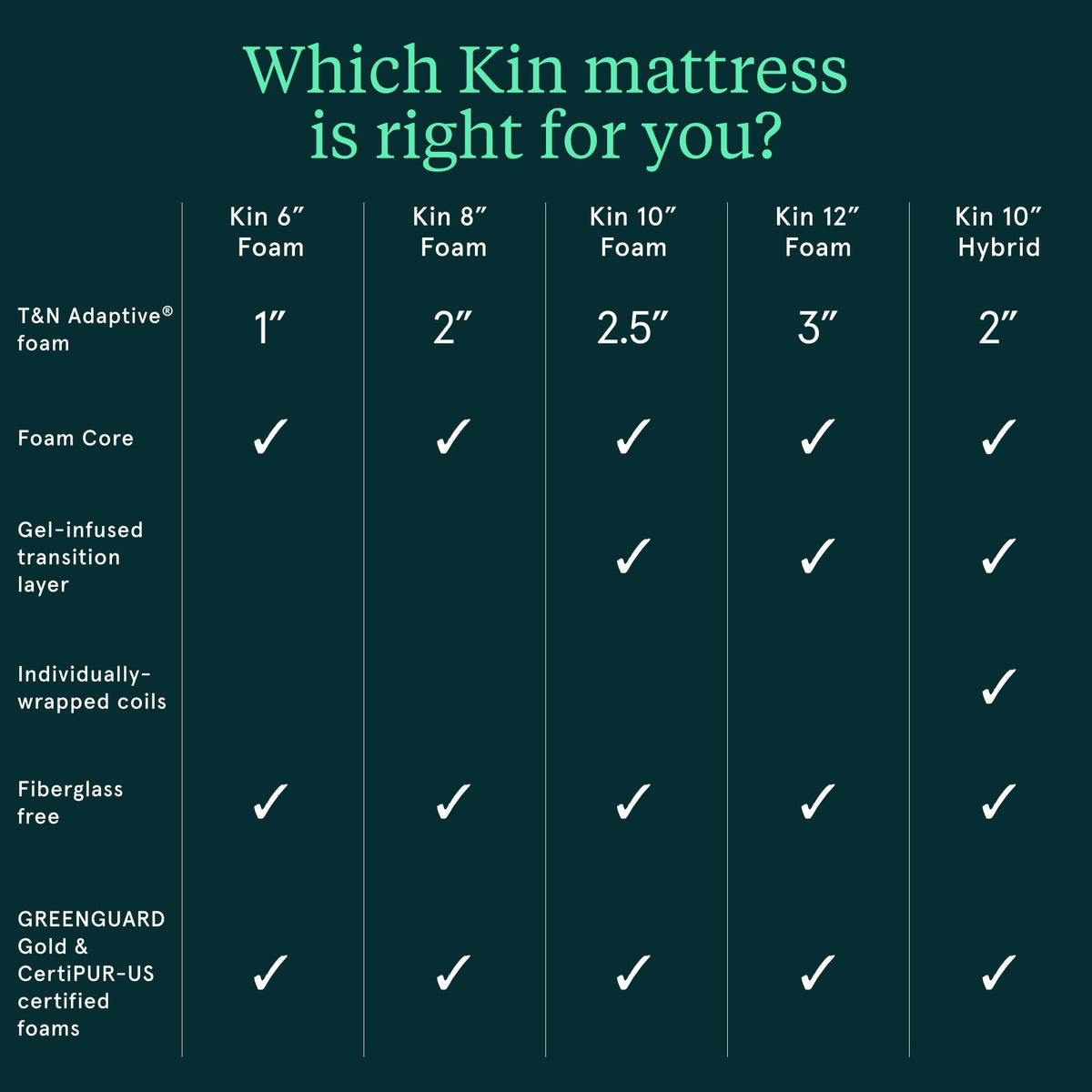 Firm 6" Adaptive Foam Twin Mattress C485487