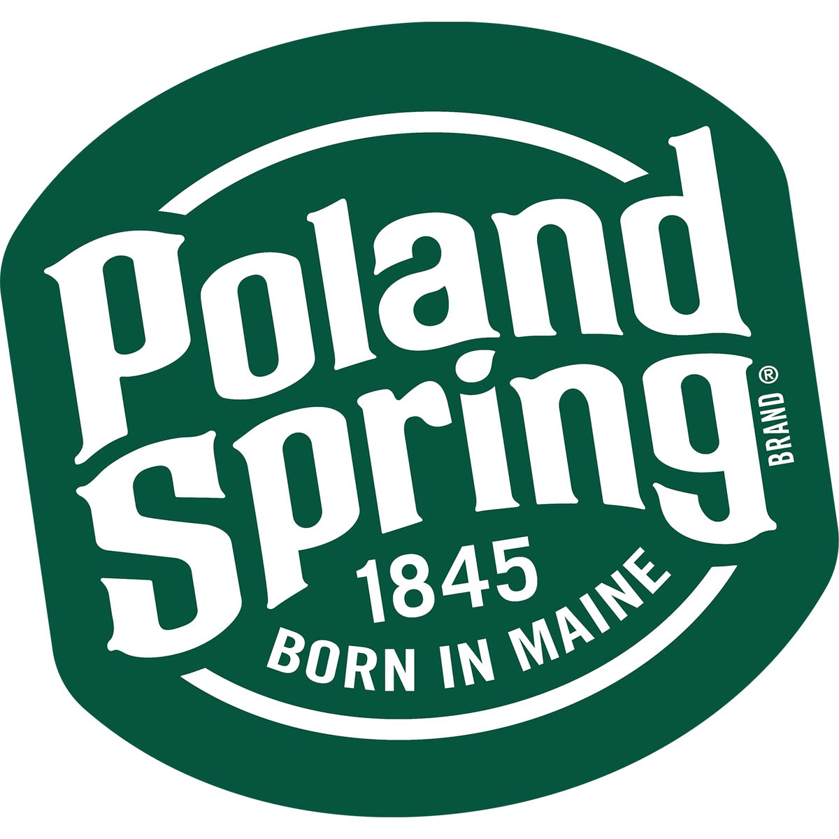 Spring Bottled Water 16.9 Fl Oz 96 Pack F336791