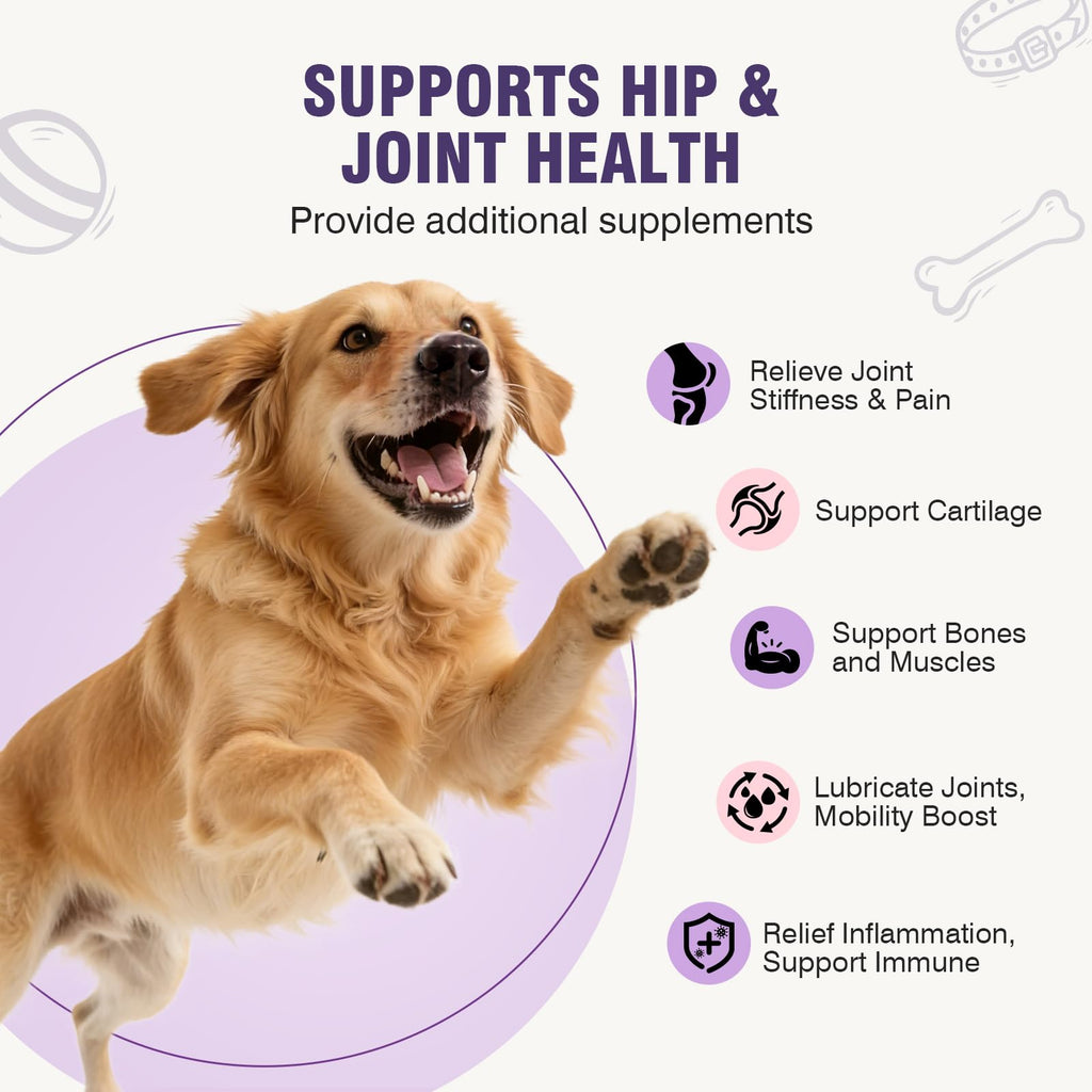 Glucosamine Chondroitin MSM Joint Supplement for Dogs 200 ct B448923