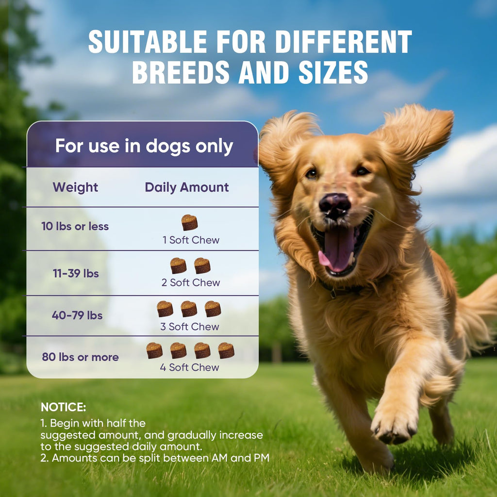 Glucosamine Chondroitin MSM Joint Supplement for Dogs 200 ct B448923