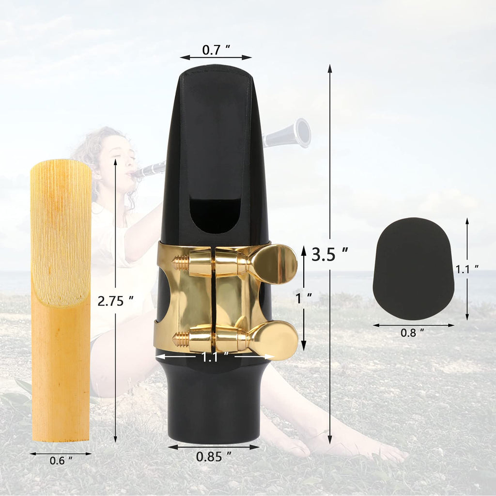29 Pcs Alto Saxophone Mouthpiece Kit F848