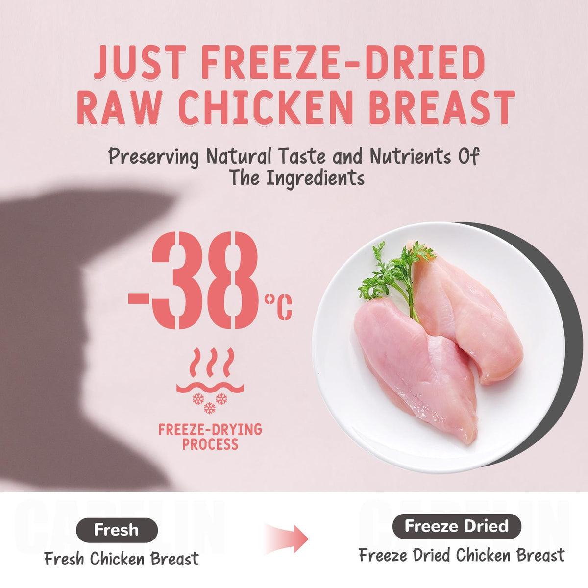 Freeze Dried Chicken Breast Cat & Dog Treats 2.82oz Single Ingredient Grain-Free T87862