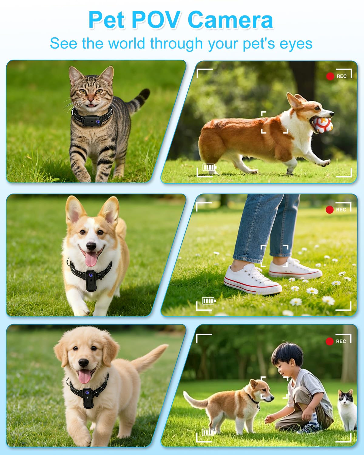 Cat Camera Collar with 1080P HD Video Record, XS-Size Pet POV Cam, 8GB SD Card I58883