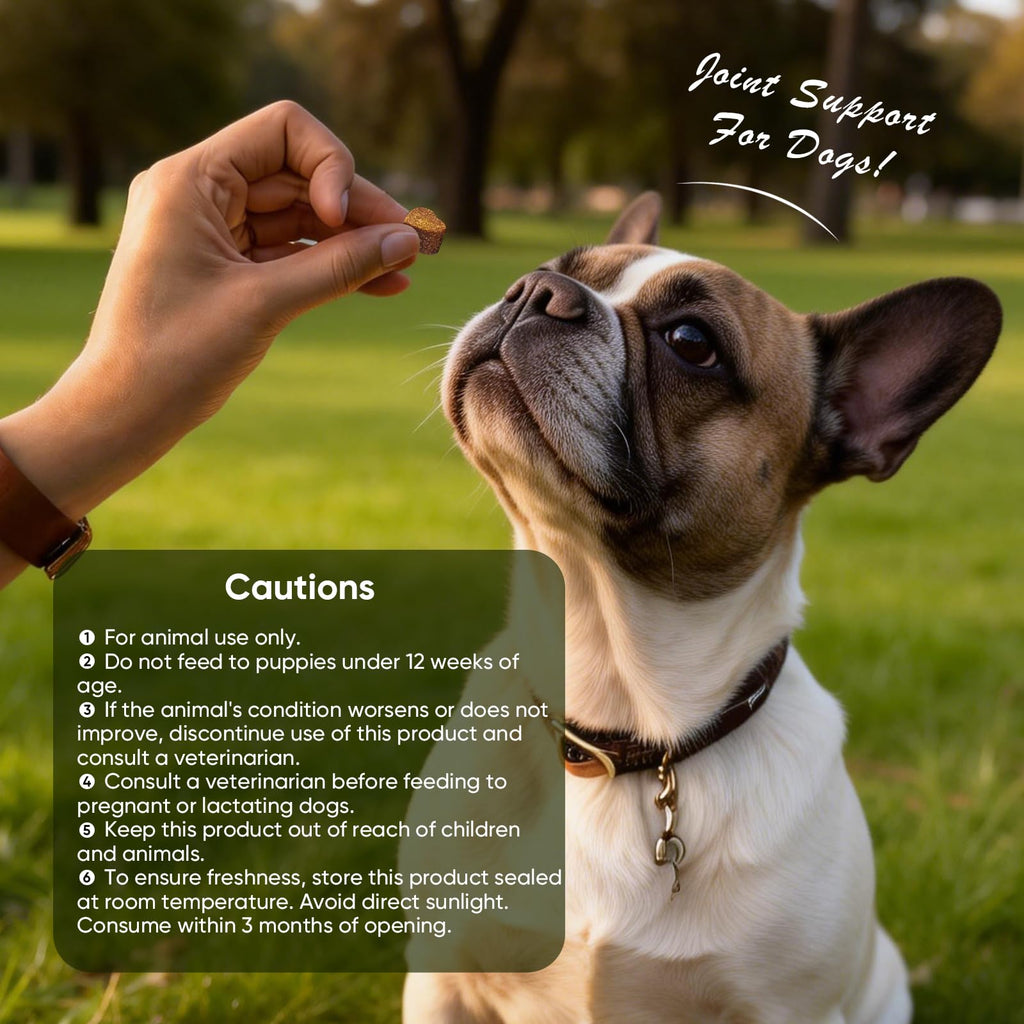 Glucosamine Chondroitin MSM Joint Supplement for Dogs 200 ct B448923