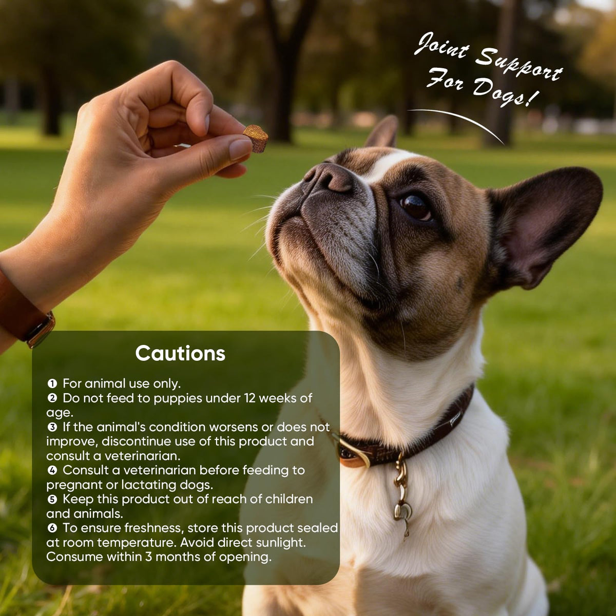 Glucosamine Chondroitin MSM Joint Supplement for Dogs 200 ct B448923