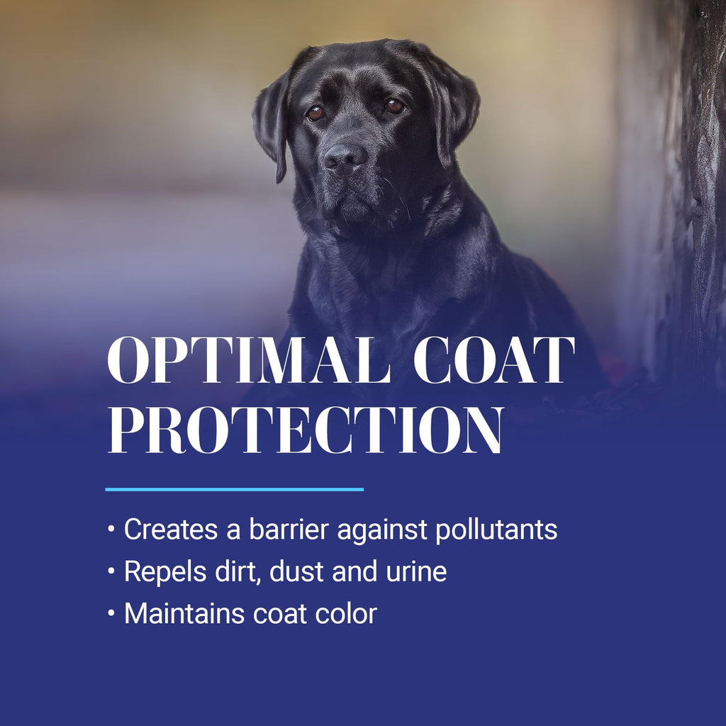 13.2 Oz Dog Dematting Conditioning Spray Y938
