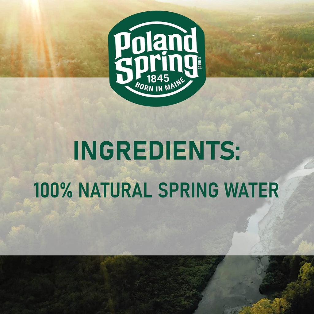 Spring Bottled Water 16.9 Fl Oz 96 Pack F336791