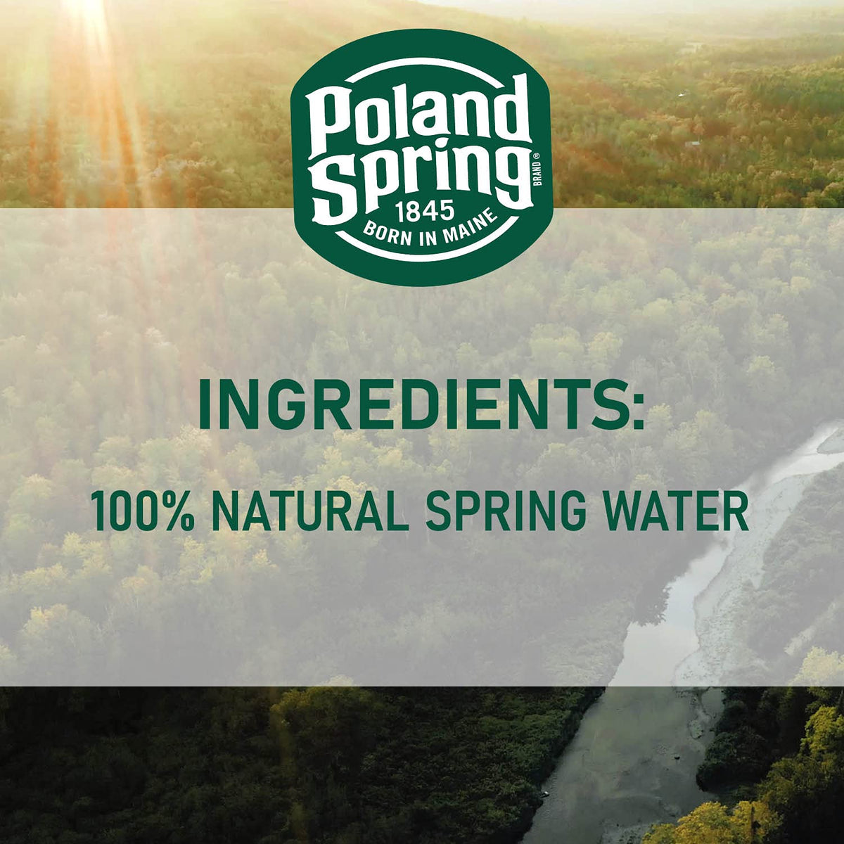 Spring Bottled Water 16.9 Fl Oz 96 Pack F336791