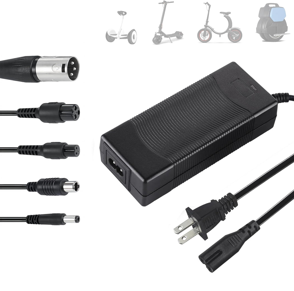 42V 2A Electric Scooter Battery Charger with XLR RCA & DC Plugs Q16650