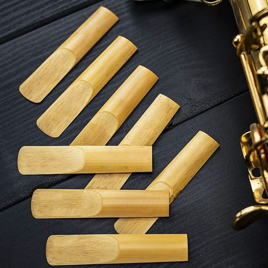 29 Pcs Alto Saxophone Mouthpiece Kit F848