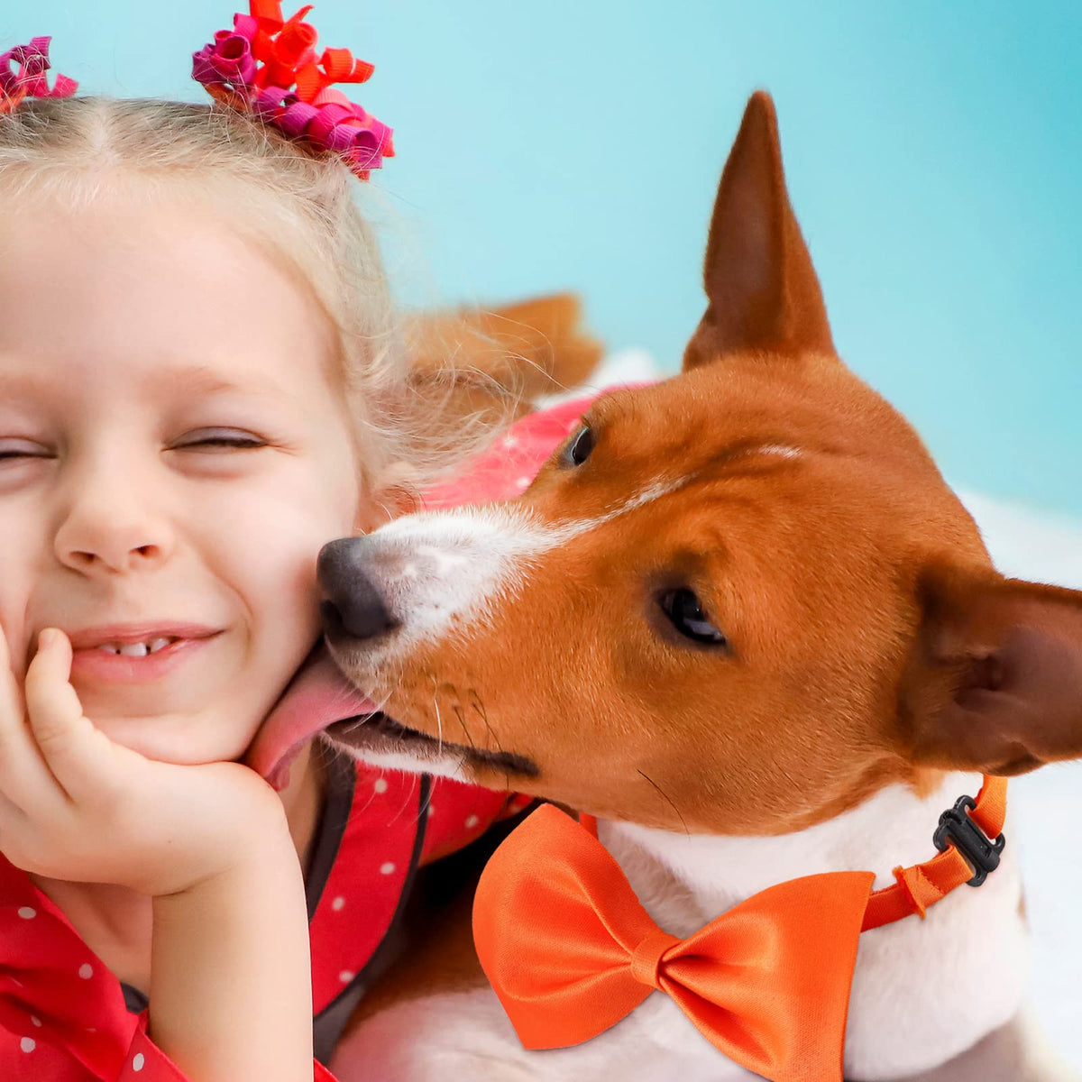 200 Pcs Adjustable Dog Bow Ties H570
