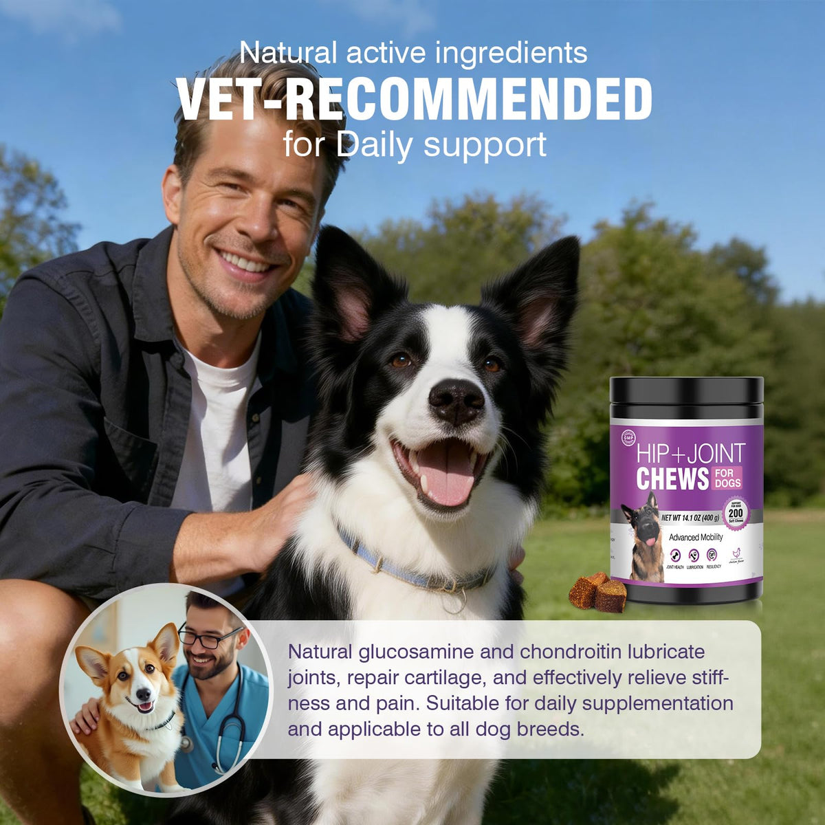 Glucosamine Chondroitin MSM Joint Supplement for Dogs 200 ct B448923