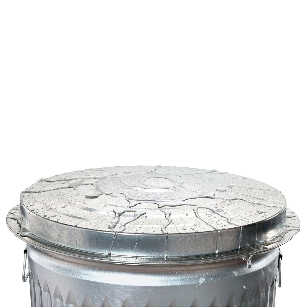 31 Gallon Galvanized Steel Storage Can with Lid T88162