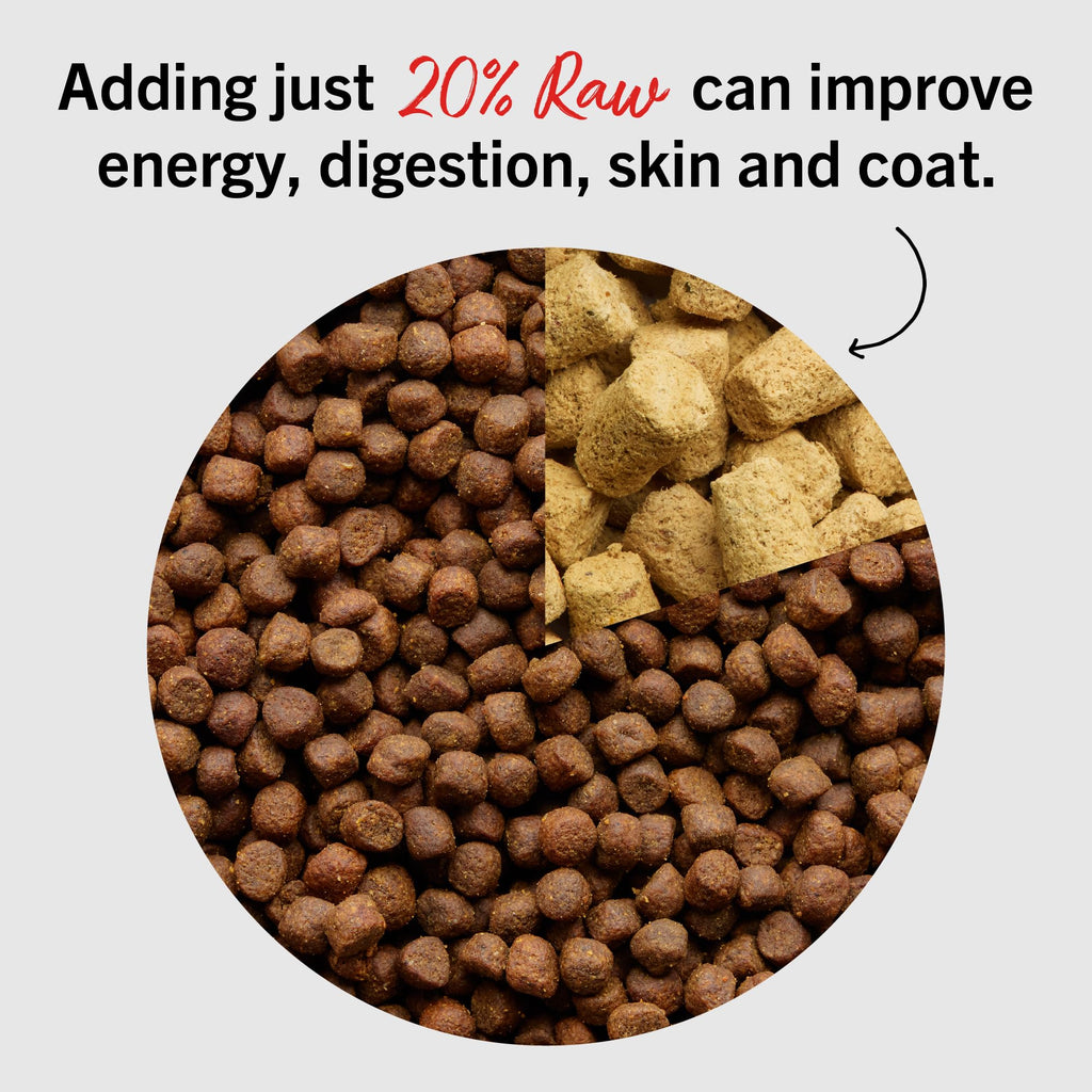Freeze-Dried Raw Beef Dog Food Topper 8 oz F16615