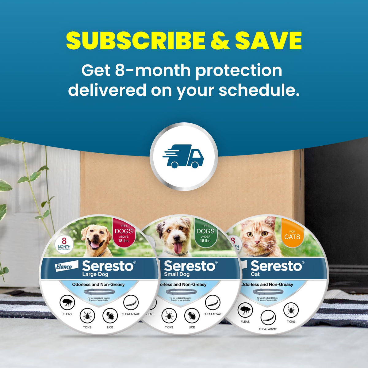 Flea & Tick Treatment & Prevention Collar for Dogs Under 18 lbs A461