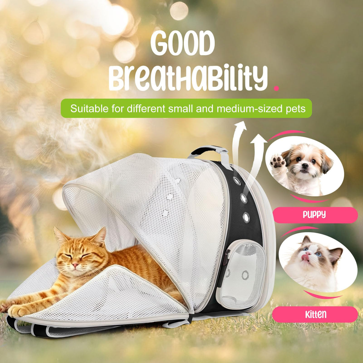Large Cat Backpack Carrier C8760