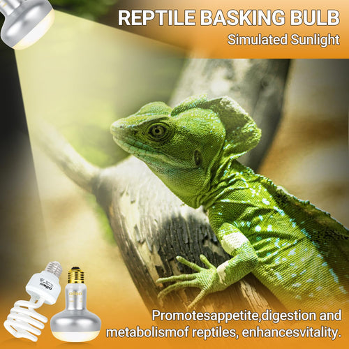 100W Reptile Heat Lamp Bulb and 26W 10.0 UVB Reptile Light Combo Pack B6141