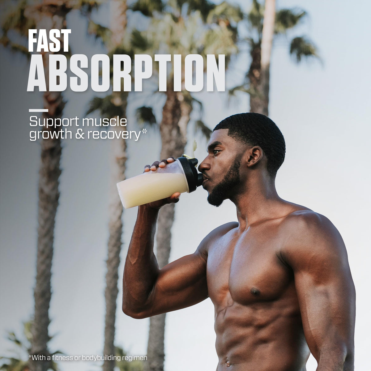 Whey Isolate Protein Powder R7389