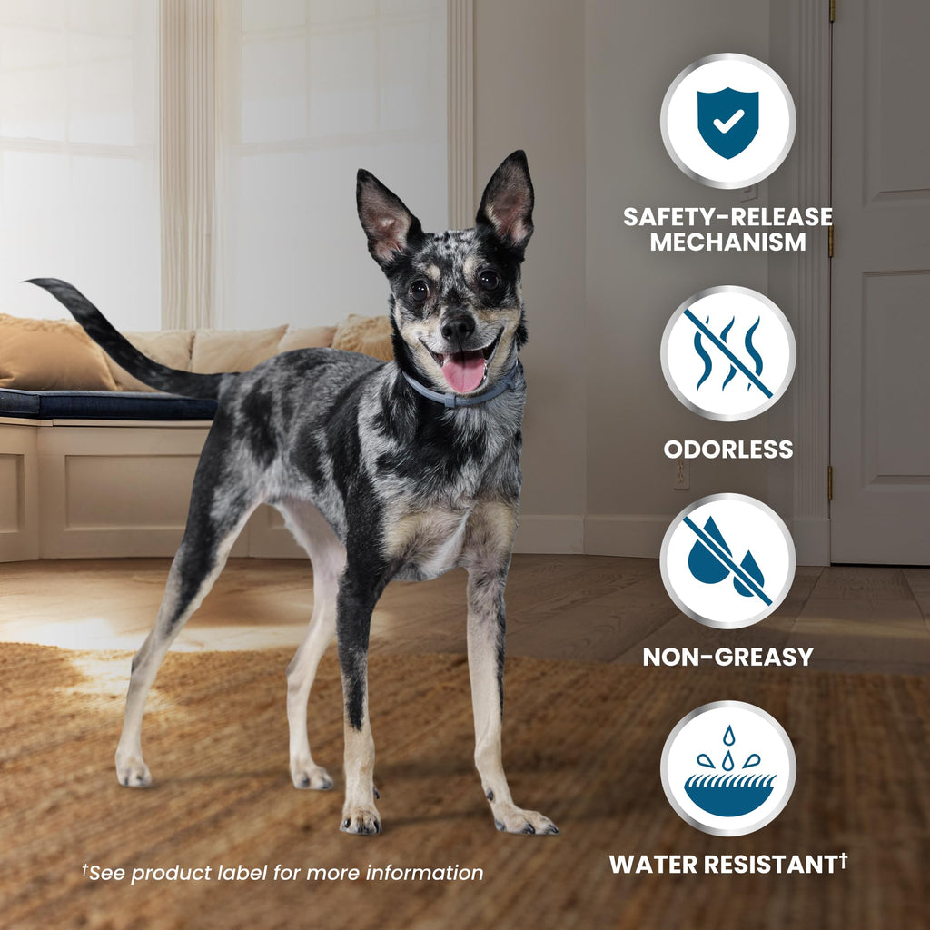 Flea & Tick Treatment & Prevention Collar for Dogs Under 18 lbs A461