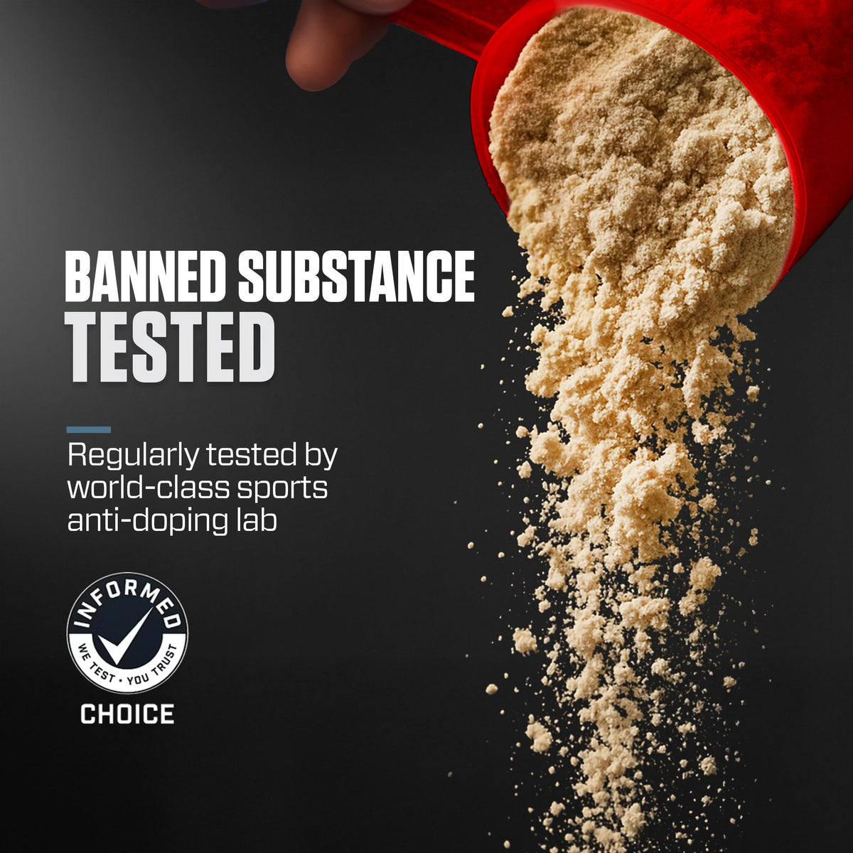 Whey Isolate Protein Powder R7389