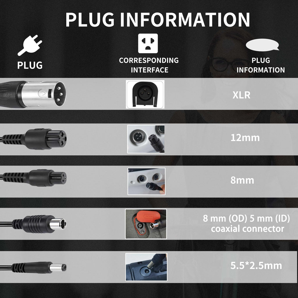 42V 2A Electric Scooter Battery Charger with XLR RCA & DC Plugs Q16650