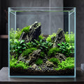 2.58 Gallon Glass Fish Tank Y339